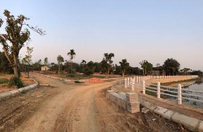 Đất Đấu Giá Ven Đô Khởi Sắc Giao Dịch Đầu Năm
