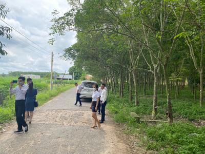 Thị Trường BĐS Vùng Ven Đang Ấm Trở Lại