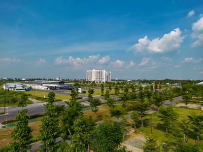 Giá Nhà Liền Thổ Giảm Mạnh, Chung Cư Liên Tục Tăng