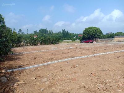 Đất Đấu Giá Sôi Động Cuối Năm