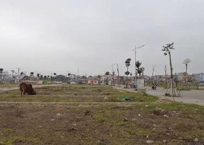 Đất Đấu Giá Hà Nội Sôi Động Đầu Năm