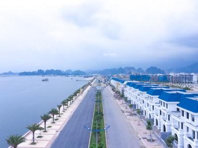 Thị Trường Bất Động Sản Quảng Ninh: Tiếp Tục Đà Suy Giảm Trong Tháng 8/2024