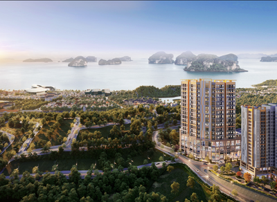 Lực Cầu Đang Đổ Về Đâu Trên Thị Trường Bất Động Sản Hạ Long?