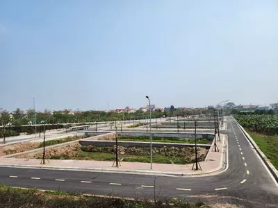 Đất Đấu Giá Hà Nội: Sôi Nổi Nguồn Cung Đầu Năm 2025