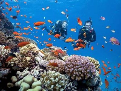 Everland Group Nỗ Lực Kiến Tạo Hệ Sinh Thái Du Lịch Vịnh Bái Tử Long