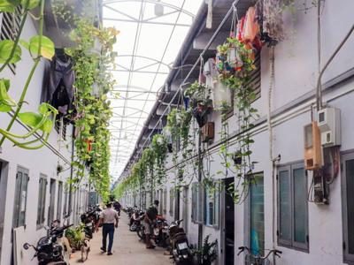 Thị Trường Thuê Trọ Hòa Lạc Đi Ngang Về Giá Thuê