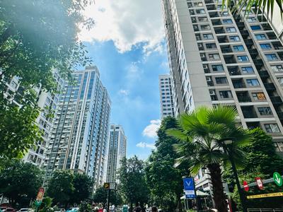 Chung Cư Hà Nội Chững Lại: Giá Neo Cao, Thanh Khoản Giảm Sau Giai Đoạn Tăng Nóng