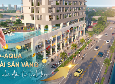 Khám Phá 5 Yếu Tố Tạo Nên Sức Hút Bền Vững Của Shop Thương Mại D-AQUA