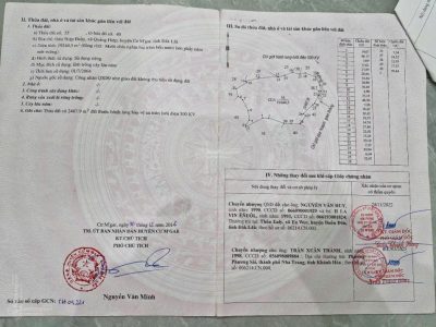 Cần bán 2ha vườn cafe 05 tháng tuổi