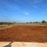 Bán Đất Nền 120m² Khối 15 Khánh Xuân BMT – 100% Thổ Cư Giá 790 Triệu - ảnh 3