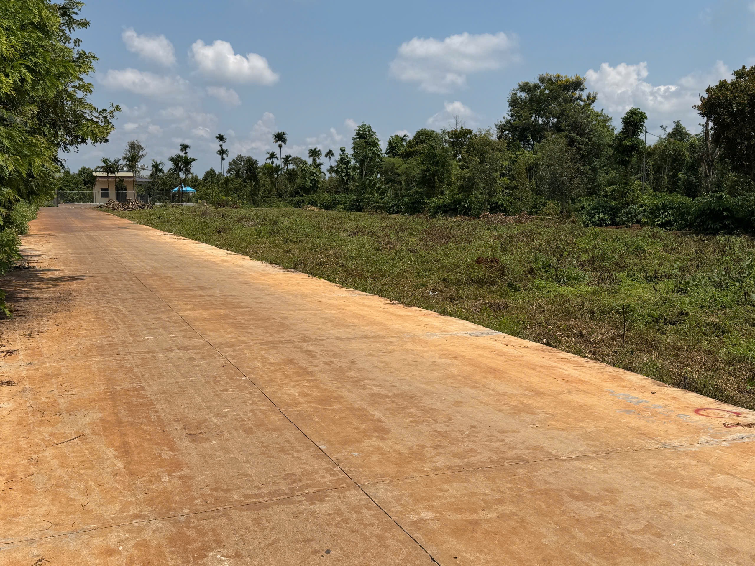 Bán Đất Nền 111m² Hẻm Tỉnh Lộ 8 Giáp Phường Tân Lợi – Giá 1 Tỷ 500 Triệu