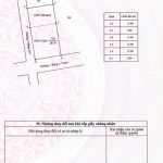 Bán Đất Nền 288m² Phường Tân An BMT – Lô Góc 2 Mặt Tiền Giá 4 Tỷ 350 - ảnh 2
