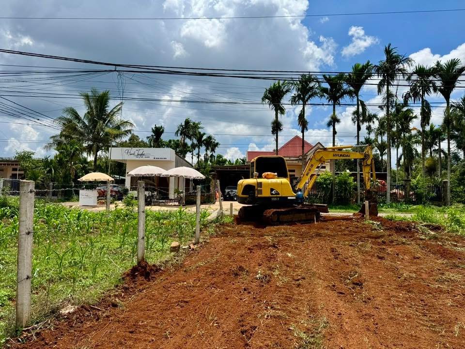 Bán Đất 160m² Mặt Tiền Nguyễn Xuân Nguyên Tân An – Giá 2 Tỷ 768 Triệu