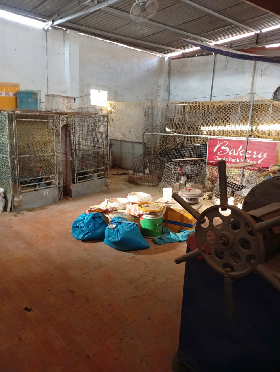 Bán Nhà Hẻm 270m² Phan Huy Chú Buôn Ma Thuột – Giá 2.5 Tỷ Đường Ô Tô Thông