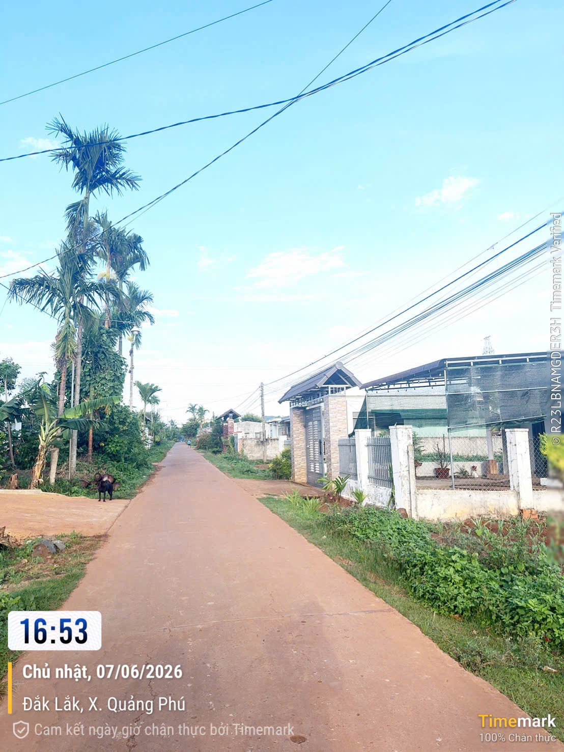 Bán Đất Nền 160m² Trục Cafe Tân Linh Ea Tu – Giá Chỉ 390 Triệu