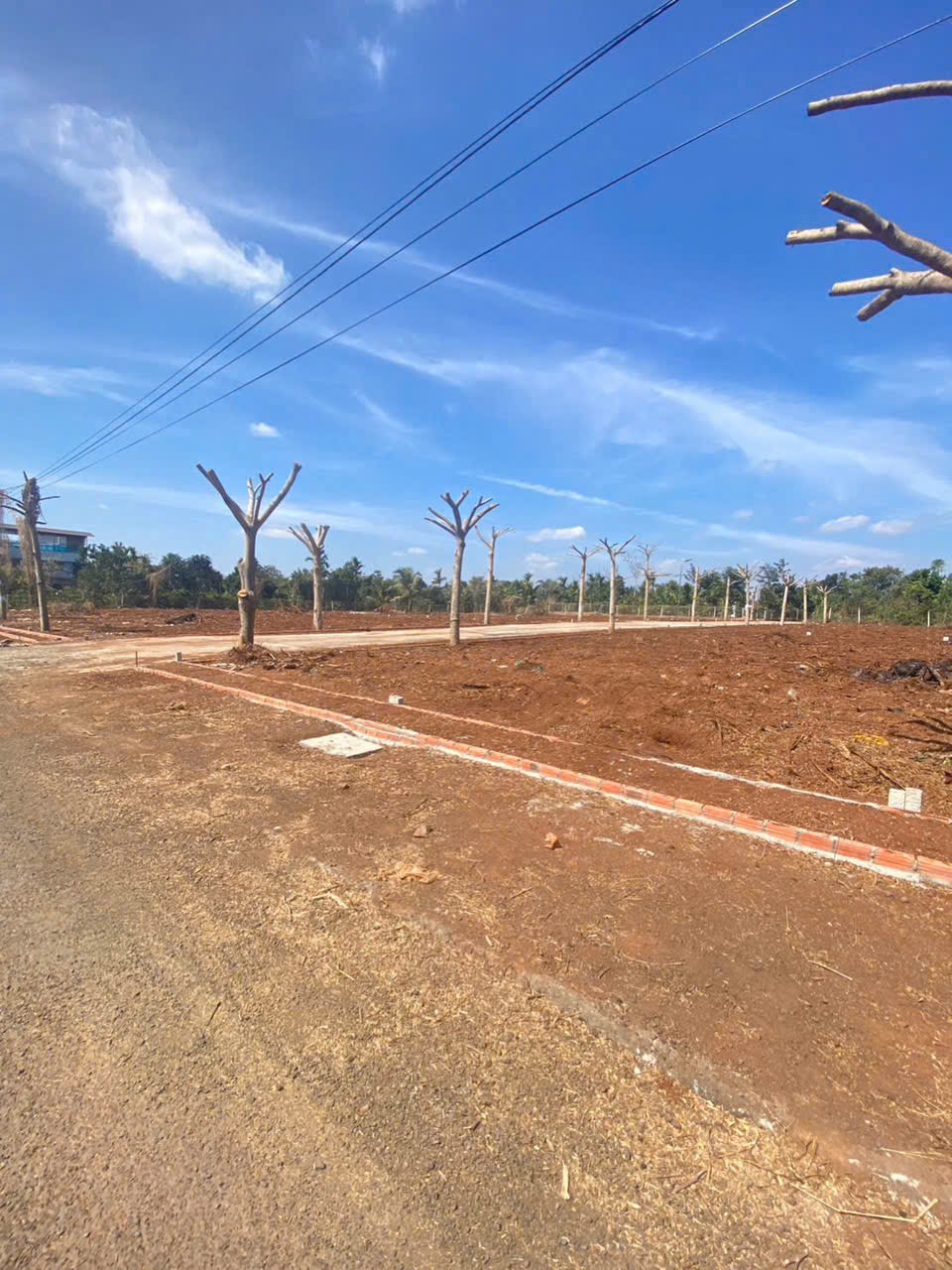 Bán Đất Nền 125m² Mặt Tiền B5 Mậu Thân Tân Hòa – Giá 1 Tỷ 400 Triệu