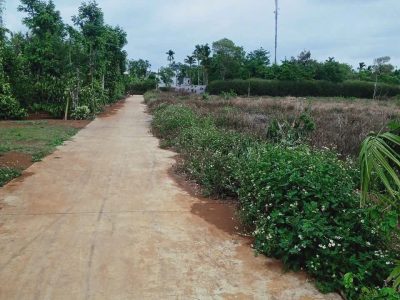 Bán Đất Nền 130m² Xã Ea Tu Buôn Ma Thuột – Cách QL26 100m Giá 810 Triệu