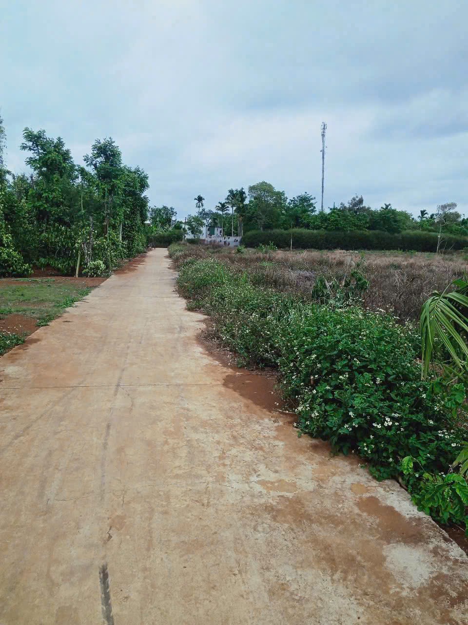 Bán Đất Nền 130m² Xã Ea Tu Buôn Ma Thuột – Cách QL26 100m Giá 810 Triệu