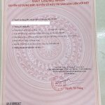 Bán Đất Nền 161m² Ea Tiêu Cư Kuin – Mặt Tiền Đường 19.5 Giá 670 Triệu - ảnh 5