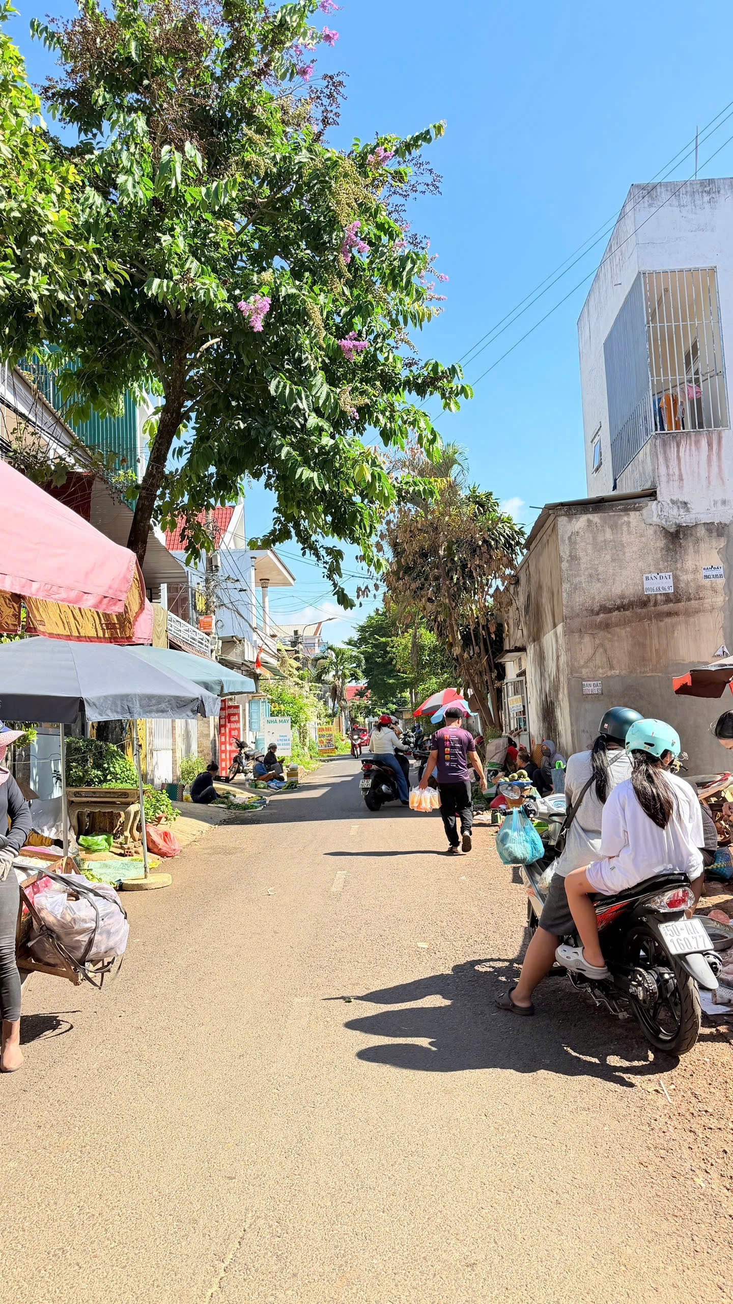 Bán Đất Nền 41.8m² Mặt Tiền Kinh Doanh Tô Vĩnh Diện Pleiku – 2 Tỷ 868 Triệu