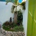 Bán Nhà Mặt Tiền 85m² Đường 1A Tân An BMT – Kinh Doanh Siêu VIP - ảnh 5