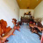 Bán Nhà Mặt Tiền 120m² Đạt Lý Buôn Ma Thuột – 2 Tỷ 350 Triệu Cách QL14 50m - ảnh 4