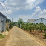 Bán Đất nền 100m² Hẻm 437 Nguyễn Thị Định – Giá 990 Triệu - ảnh 2