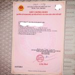 Bán Đất nền 282m² Phường Tân An BMT – Giá 3,3 Tỷ Mặt Tiền Kinh Doanh - ảnh 4