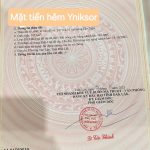 Bán Đất Nền 150m² Hẻm Yniksor Tân Lập – Giá 2 Tỷ 850 Triệu - ảnh 3