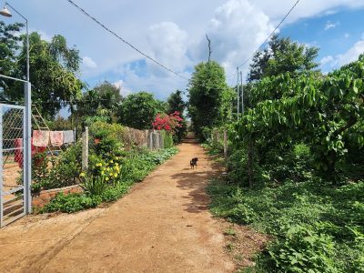 Bán Đất CLN 7200m² Phường Eakao BMT – Mặt Tiền 120m, Giá 680 Triệu/Sào