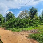 Bán Đất CLN 7200m² Phường Eakao BMT – Mặt Tiền 120m, Giá 680 Triệu/Sào - ảnh 3