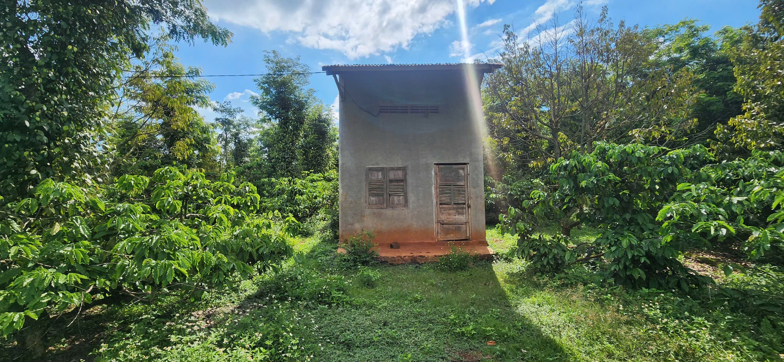 Bán Đất CLN 7200m² Phường Eakao BMT – Mặt Tiền 120m, Giá 680 Triệu/Sào