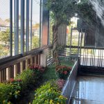 Bán Nhà Mặt Tiền 228m² Quốc Lộ 14 Phường Tân An BMT – Giá 9 Tỷ - ảnh 5
