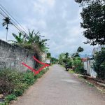 Bán Đất Nền 99m² Mặt Tiền Đường B5 Tân Hòa BMT – Giá 1 Tỷ 450 Triệu - ảnh 3
