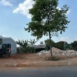 Bán Đất Nền 100m² Đường Thạch Lam Phường Tân Lập – Giá 3 Tỷ 950 Triệu - ảnh 2