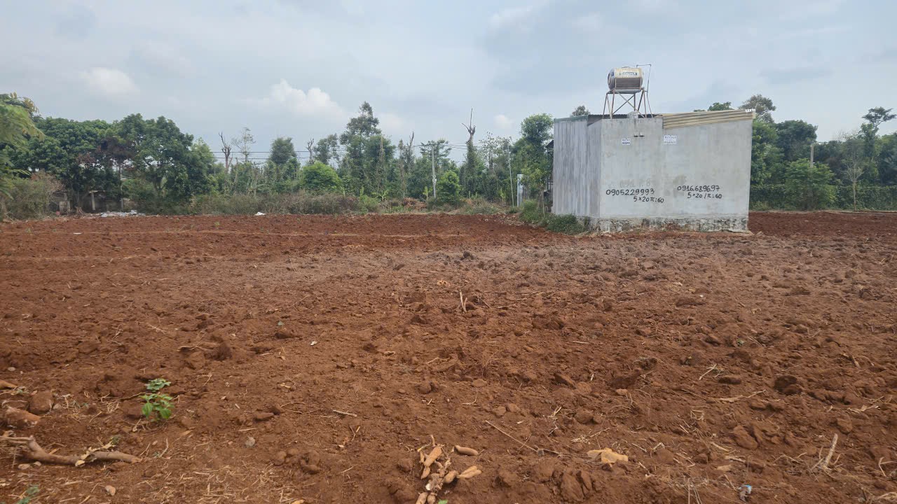Bán Đất Nền 100m² Gần Khu Đô Thị Ecocity Buôn Ma Thuột – Giá 1 Tỷ 100 Triệu