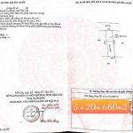 Bán Đất Nền 100m² Gần Khu Đô Thị Ecocity Buôn Ma Thuột – Giá 1 Tỷ 100 Triệu - ảnh 3