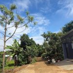 Bán Đất 125m² Hẻm Sau Chợ Ea Kao Phường Ea Kao – 1 Tỷ 290 Triệu - ảnh 2