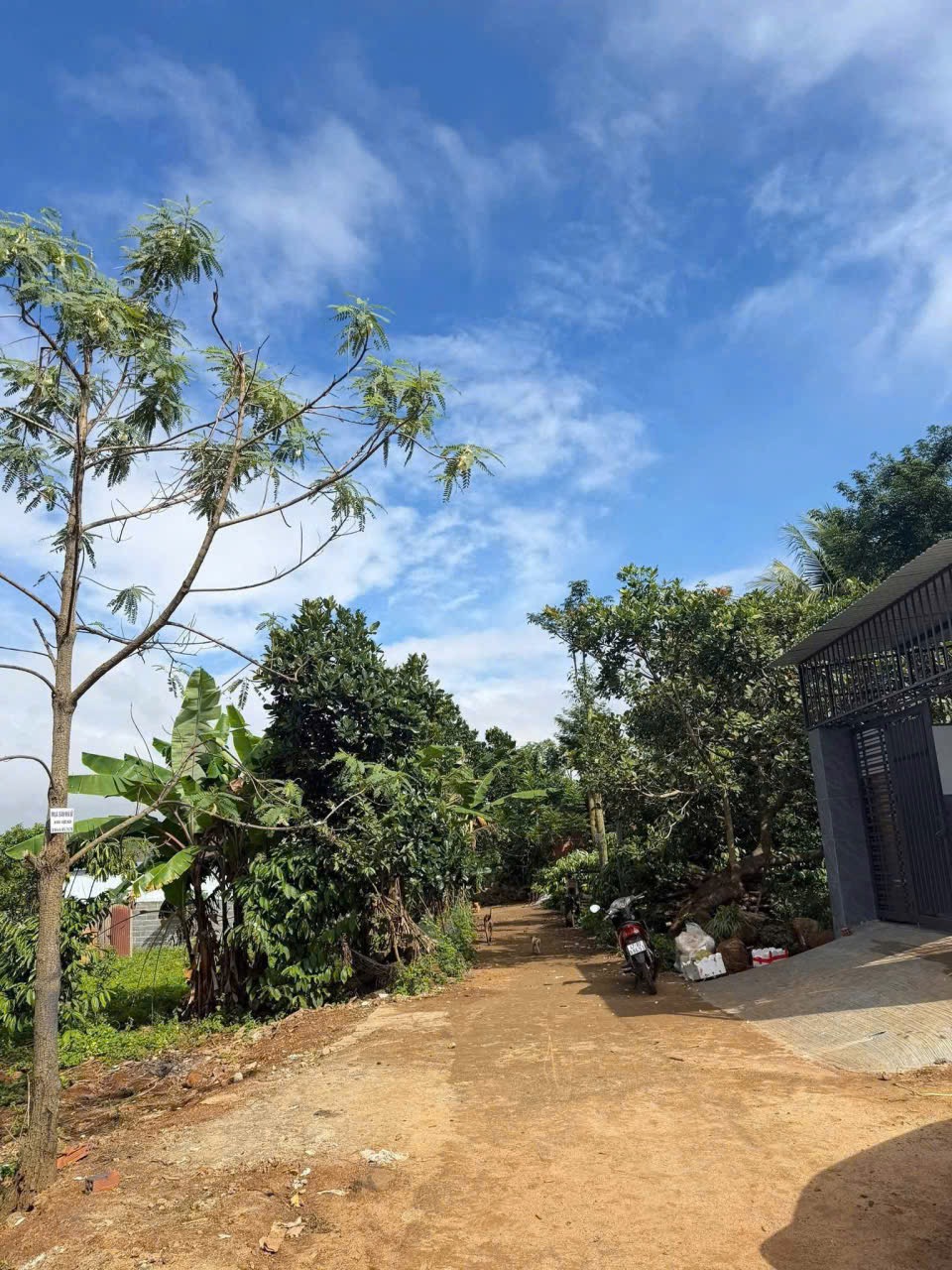 Bán Đất 125m² Hẻm Sau Chợ Ea Kao Phường Ea Kao – 1 Tỷ 290 Triệu
