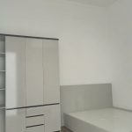 Bán Nhà Vườn 300m² Hẻm 134 Phan Huy Chú Thành Nhất – 2 Tỷ 650 Triệu - ảnh 3
