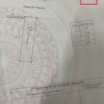 Bán Đất 100m² Hẻm 849 Hà Huy Tập Tân Lợi BMT – Giá 1 Tỷ 850 Triệu - ảnh 4