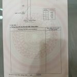 Bán Đất Nền 240m² Xã Hòa Thắng BMT – 1 Tỷ 280 Triệu Gần Sân Bay - ảnh 3