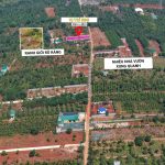 Bán Đất Nhà Vườn 510m² Đường Đỗ Xuân Hợp BMT – Giá 1 Tỷ 500 Triệu - ảnh 2