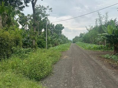 Bán Đất CLN 3000m² Hòa Xuân Buôn Ma Thuột – 2 Tỷ 700 Triệu Góc 2 Mặt Tiền