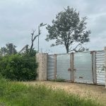 Bán Đất CLN 3000m² Hòa Xuân Buôn Ma Thuột – 2 Tỷ 700 Triệu Góc 2 Mặt Tiền - ảnh 2