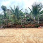 Bán Đất 108m² Hẻm 76 Tỉnh Lộ 8 Tân An – Giá 1 Tỷ 290 Triệu - ảnh 2