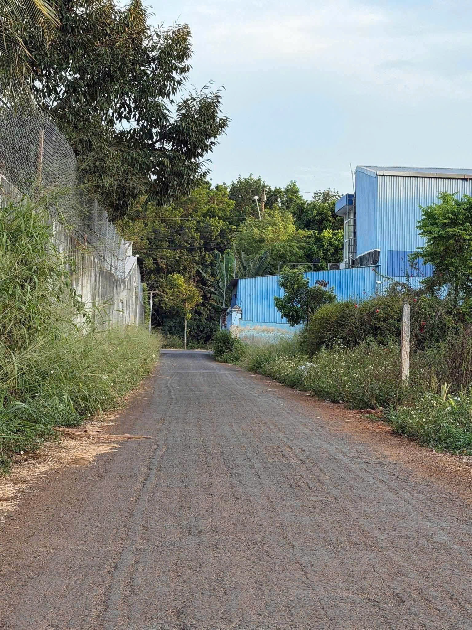 Bán Đất Nền 180m² Hẻm QL26 KoTam Tân An – Cách QL26 50m, Giá 1 Tỷ 750 Triệu
