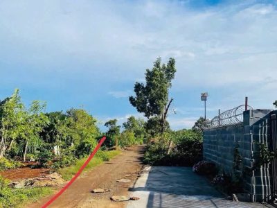 Bán Đất Làm Nhà Vườn 542m² Hẻm Đường 10/3 Buôn Ma Thuột – 1 Tỷ 950 Triệu