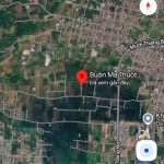 Bán Đất Làm Nhà Vườn 542m² Hẻm Đường 10/3 Buôn Ma Thuột – 1 Tỷ 950 Triệu - ảnh 3