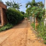 Bán Đất Nền 200m² Ea Tiêu Cư Kuin – Ngang 10m Thổ Cư Giá 395 Triệu - ảnh 2